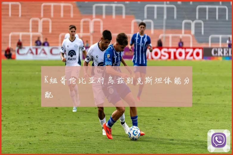 K组哥伦比亚对乌兹别克斯坦体能分配