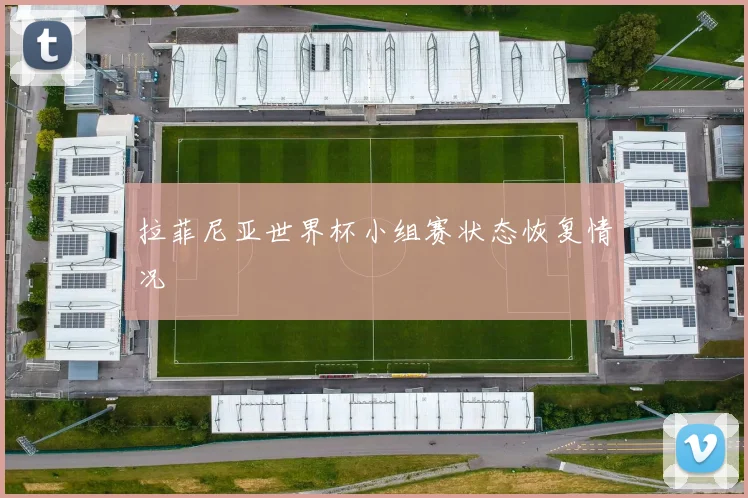 拉菲尼亚世界杯小组赛状态恢复情况
