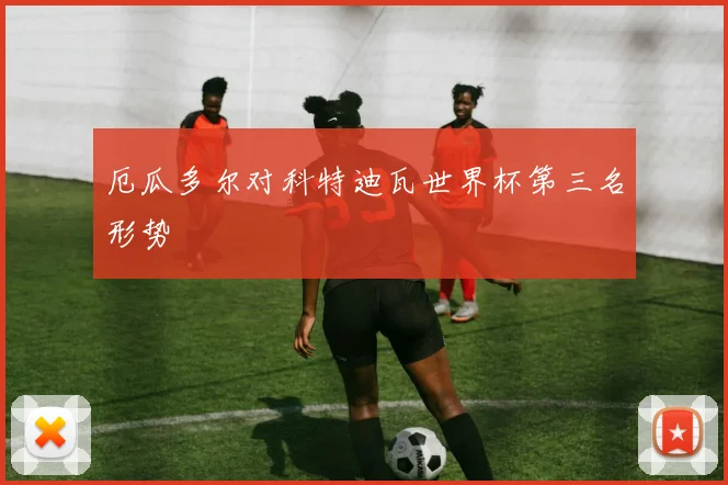厄瓜多尔对科特迪瓦世界杯第三名形势