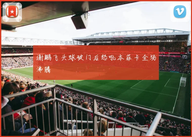 谢鹏飞头球破门后怒吼本菲卡全场沸腾