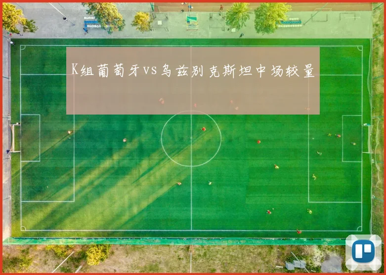 K组葡萄牙vs乌兹别克斯坦中场较量