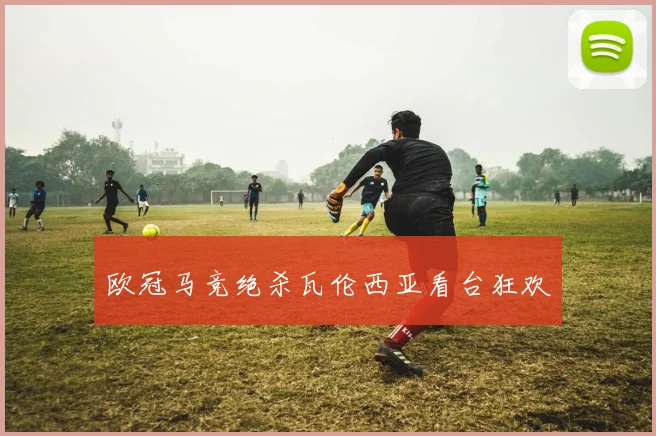 欧冠马竞绝杀瓦伦西亚看台狂欢